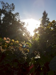 Season 01 Episode 11