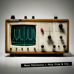 Poly Five & Six