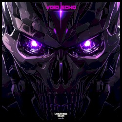 Void Echo