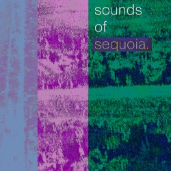 sounds of sequoia.