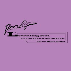 Levitating (Amaal Mallik remix)