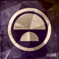 What You Are (Break Remix) / Monstereo