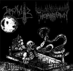 Rituals of the Night