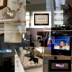 Baseline Location Referential [[INDIR]] .:(VI):. [hoome] "Home as a Whole, in General, the Hole of Home; Within Home's Asshole" .:(VI):.