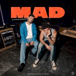 MAD (extended mix)