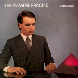 The Pleasure Principle