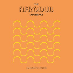 The Afrodub Experience