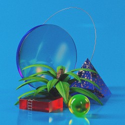 Moment in Slow Motion