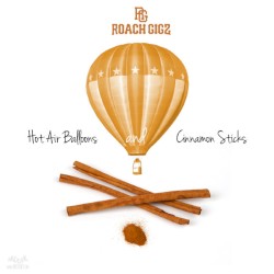 Hot Air Balloons & Cinnamon Sticks