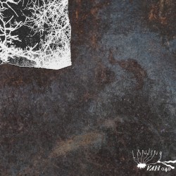 Bi-Monthly Subscription Series 13