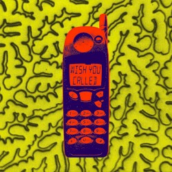 Wish You Called
