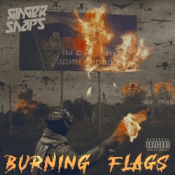 Burning Flags