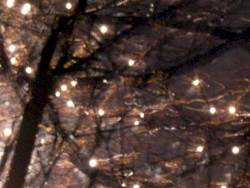 Live at Amann Studios