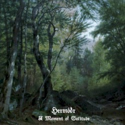 A Moment of Solitude