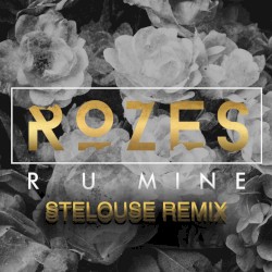 R U Mine (StéLouse Remix)
