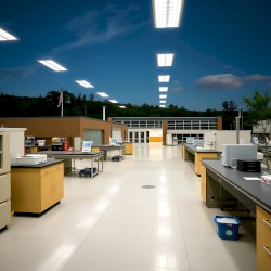 Oak Ridge