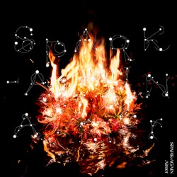 SPARK‐AGAIN