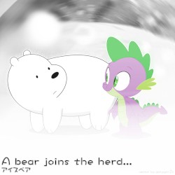 A bear joins the herd…