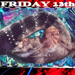 Friday 13th
