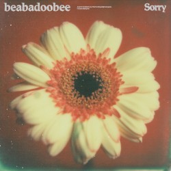 Sorry (alternate edit)