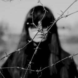 A Betrayal of Persistent Idealism