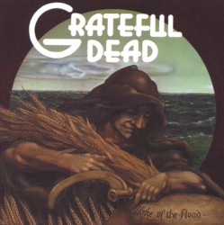 Beyond Description (1973–1989)