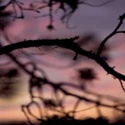 Another Perception I