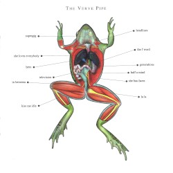 The Verve Pipe