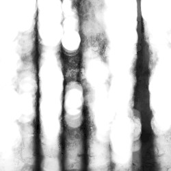 𝙼𝚢 𝚖𝚒𝚗𝚍 𝚒𝚜 𝚜𝚕𝚒𝚙𝚙𝚒𝚗𝚐...