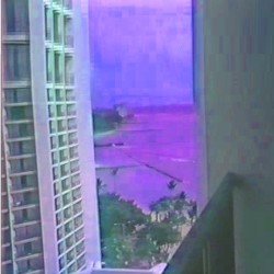 Trip Synchronicity