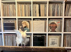 2024-01-22: NTS Radio