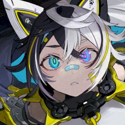 ディメンション