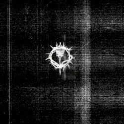 They Will Rape My Corpse Before They Know My Servitude