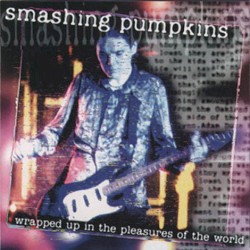 1995-08-25: Wrapped Up in the Pleasures of the World: Reading Festival, Berkshire, UK