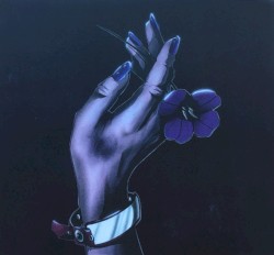 Violet’s Tale