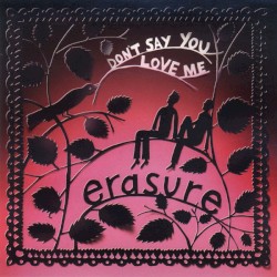 Don’t Say You Love Me