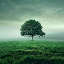 An hour for sleep 0005