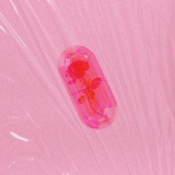 片依存