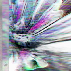 simulated_worlds