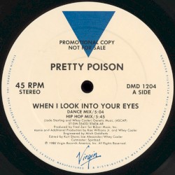 When I Look Into Your Eyes