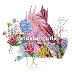 Mismo sitio, distinto lugar