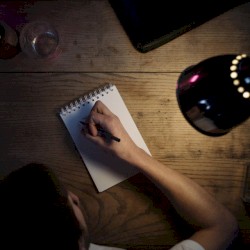 Pagyvenęs ir vidutiniškai gudrus