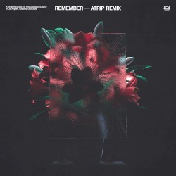 Remember (ATRIP remix)