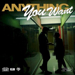 Anything You Want