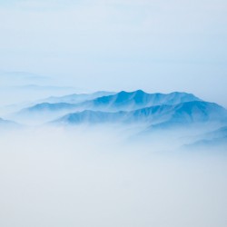 The Secrets Of Success