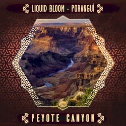 Peyote Canyon
