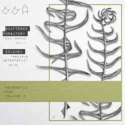 Heteroticisms Volume 2