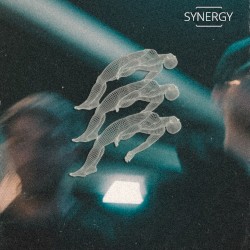 Synergy