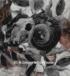 All We Expected & Raum Kingdom Split