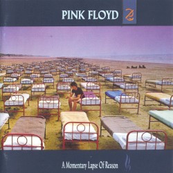 A Momentary Lapse of Reason